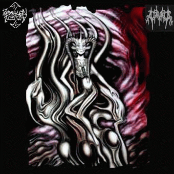 Zebulon Kosted : Acrybia - Zebulon Kosted